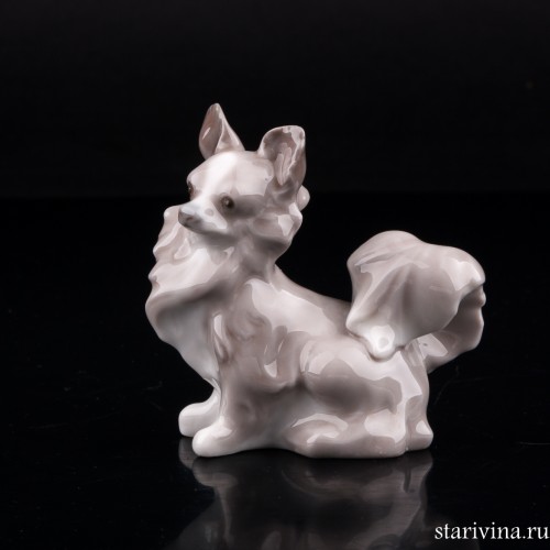 Чихуахуа (длинношерстная), Lladro, Испания, 1971-85 гг