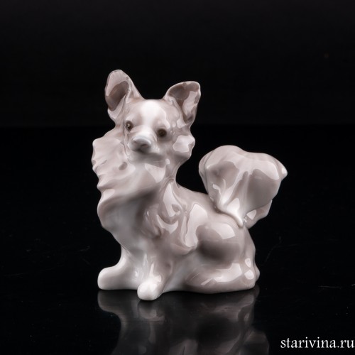 Чихуахуа (длинношерстная), Lladro, Испания, 1971-85 гг