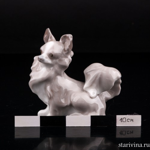 Чихуахуа (длинношерстная), Lladro, Испания, 1971-85 гг