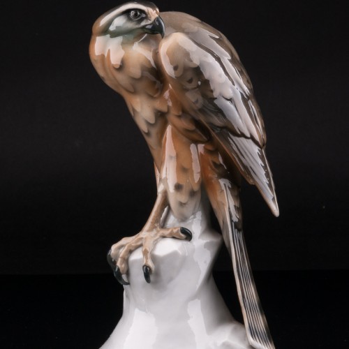 Сокол, Германия, нач. 20 в