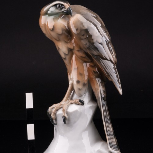 Сокол, Германия, нач. 20 в