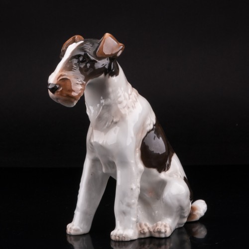 Фокстерьер, Von Schierholz, Германия, 1907-27 гг