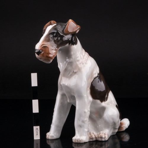 Фокстерьер, Von Schierholz, Германия, 1907-27 гг