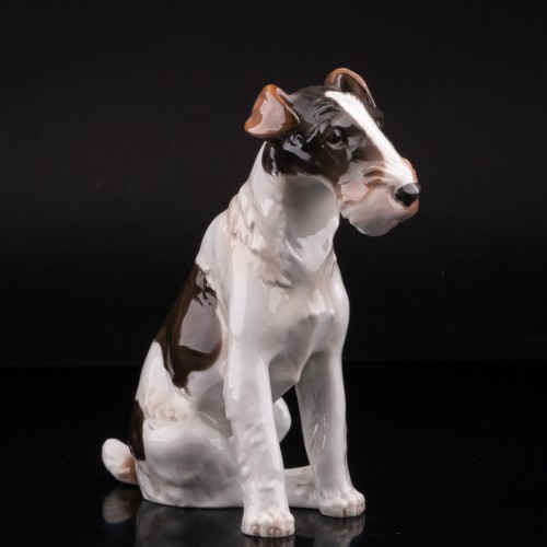 Фокстерьер, Von Schierholz, Германия, 1907-27 гг