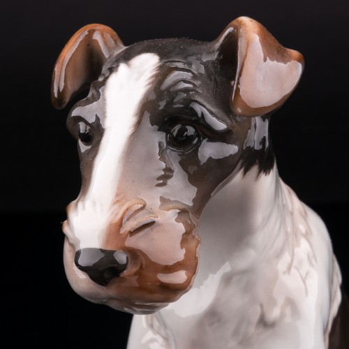 Фокстерьер, Von Schierholz, Германия, 1907-27 гг