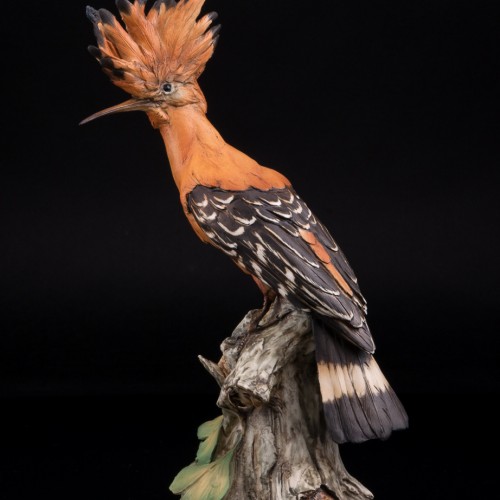 Удод, Tay, Италия, сер. 20 в