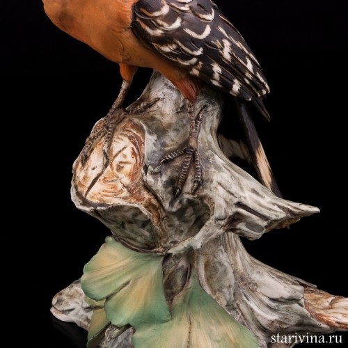 Удод, Tay, Италия, сер. 20 в