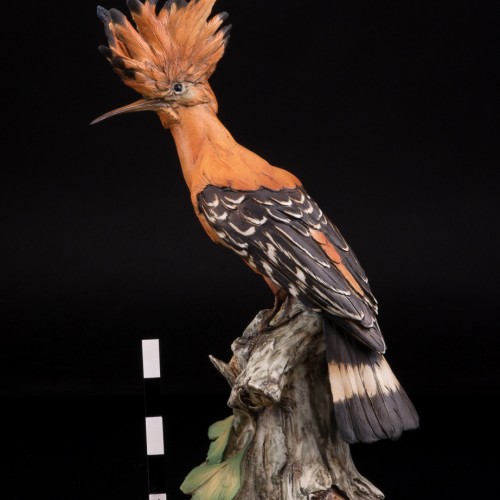 Удод, Tay, Италия, сер. 20 в