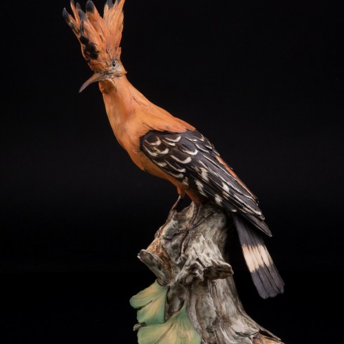 Удод, Tay, Италия, сер. 20 в