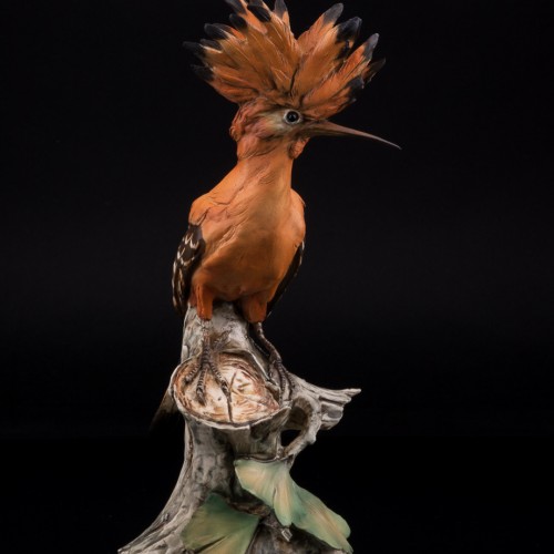 Удод, Tay, Италия, сер. 20 в