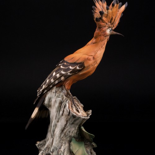 Удод, Tay, Италия, сер. 20 в