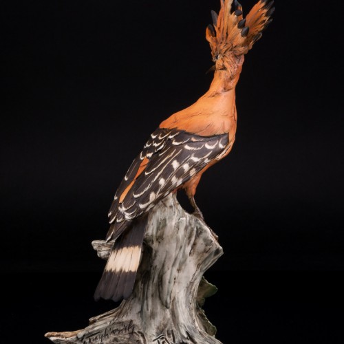 Удод, Tay, Италия, сер. 20 в