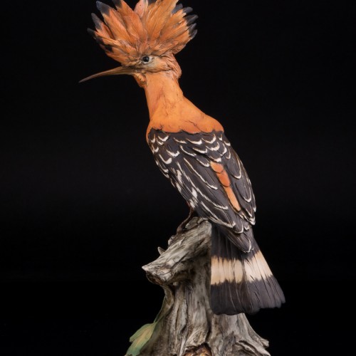 Удод, Tay, Италия, сер. 20 в