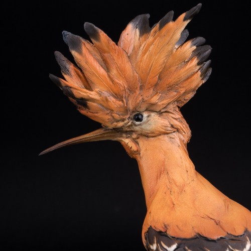 Удод, Tay, Италия, сер. 20 в