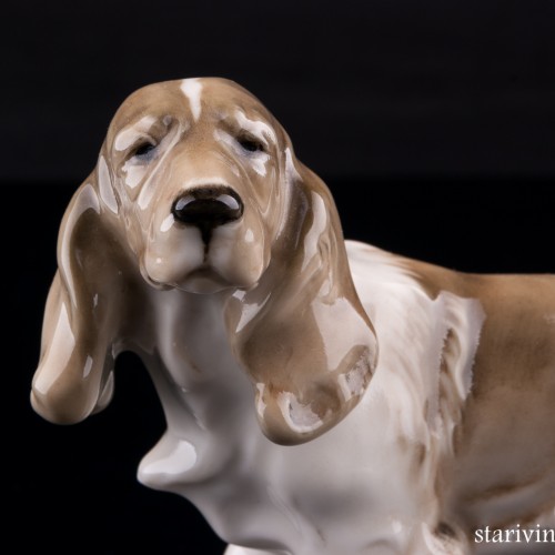 Кокер спаниель, Hutschenreuther, Германия