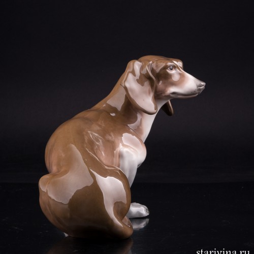 Такса, Amphora, Чехия, нач. 20 в