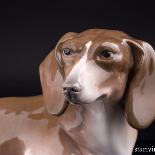 Такса, Amphora, Чехия, нач. 20 в