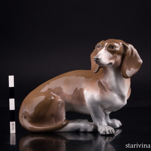 Такса, Amphora, Чехия, нач. 20 в