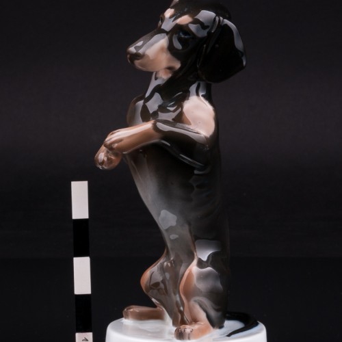 Такса на задних лапах, Rosenthal, Германия, нач. 20 в