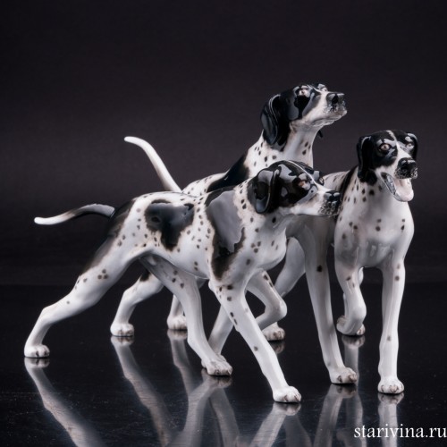 Три пойнтера, Rosenthal, Германия