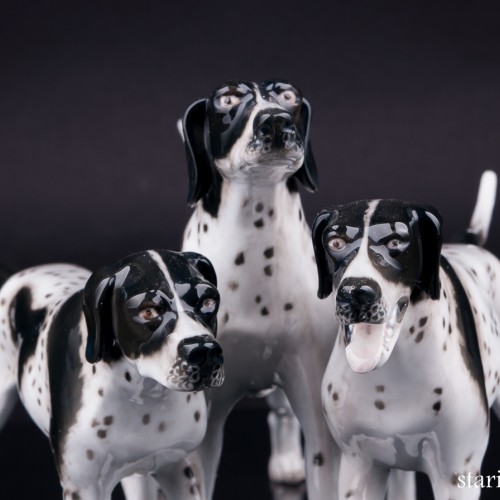 Три пойнтера, Rosenthal, Германия