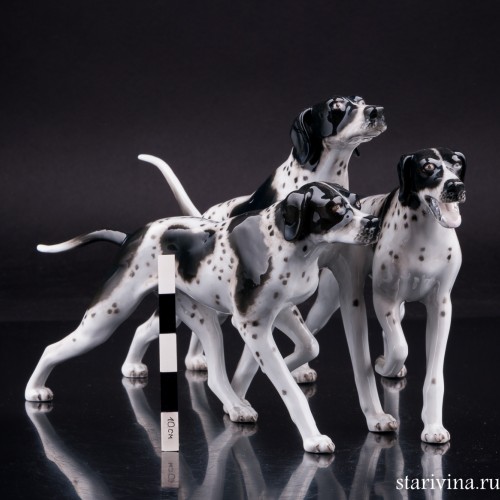 Три пойнтера, Rosenthal, Германия