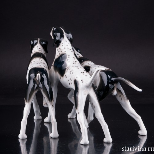 Три пойнтера, Rosenthal, Германия