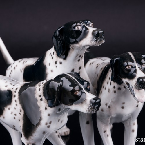 Три пойнтера, Rosenthal, Германия