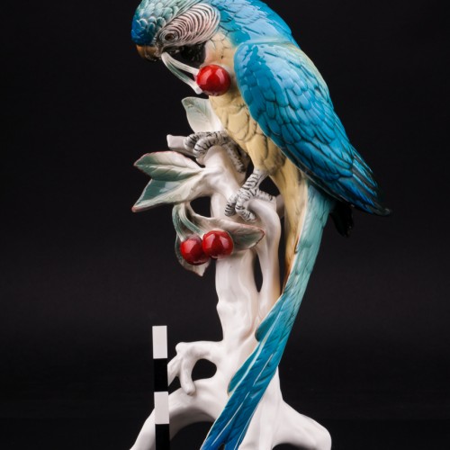 Попугай ара с вишнями, Karl Ens, Германия, 1930-50 гг
