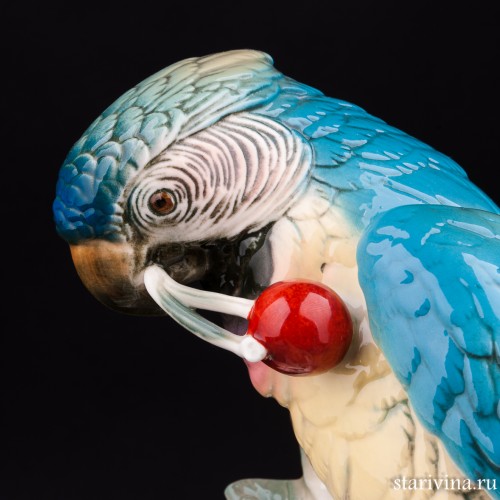 Попугай ара с вишнями, Karl Ens, Германия, 1930-50 гг