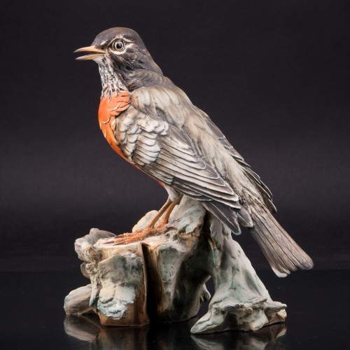 Странствующий дрозд, Италия, сер. 20 в