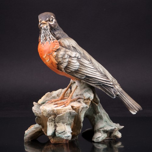 Странствующий дрозд, Италия, сер. 20 в