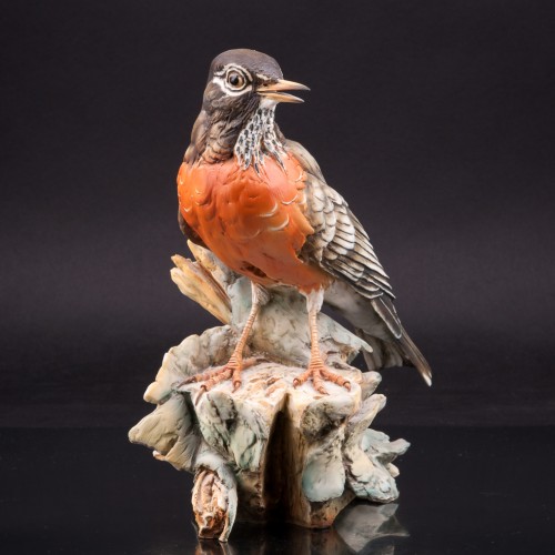 Странствующий дрозд, Италия, сер. 20 в