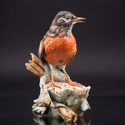 Странствующий дрозд, Италия, сер. 20 в