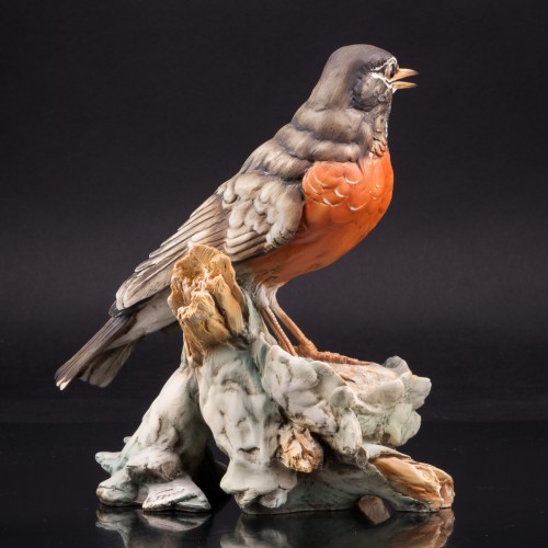 Странствующий дрозд, Италия, сер. 20 в