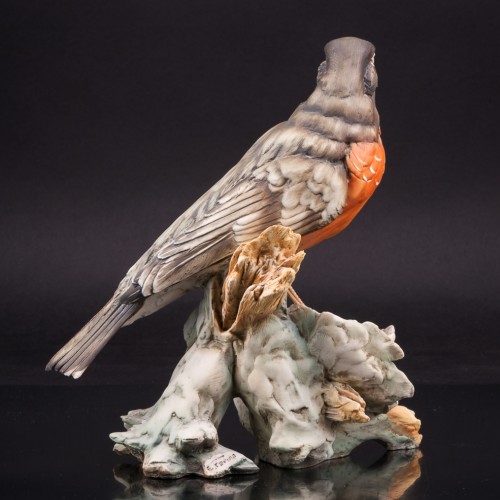 Странствующий дрозд, Италия, сер. 20 в