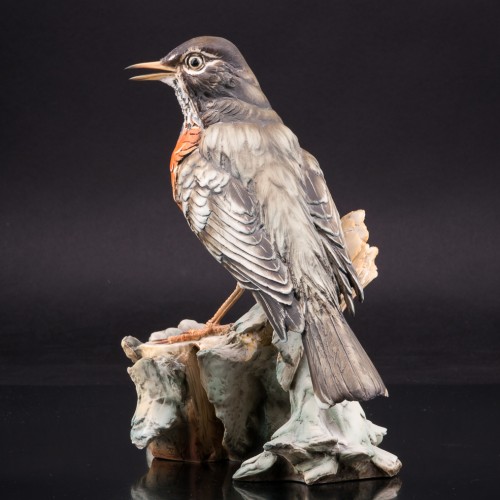 Странствующий дрозд, Италия, сер. 20 в