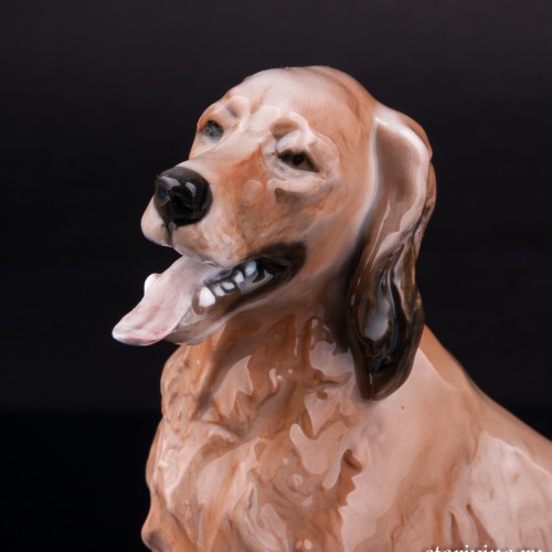 Ирландский сеттер, Rosenthal, Германия, 1970 гг