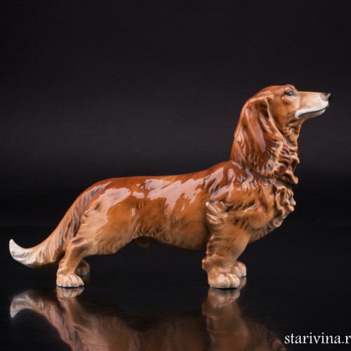 Фарфоровая статуэка собаки Длинношерстная такса, Karl Ens, Германия, 1920-30 гг.