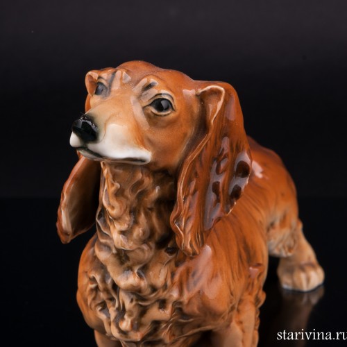 Фарфоровая статуэка собаки Длинношерстная такса, Karl Ens, Германия, 1920-30 гг.