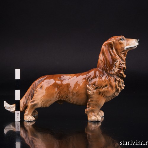 Фарфоровая статуэка собаки Длинношерстная такса, Karl Ens, Германия, 1920-30 гг.