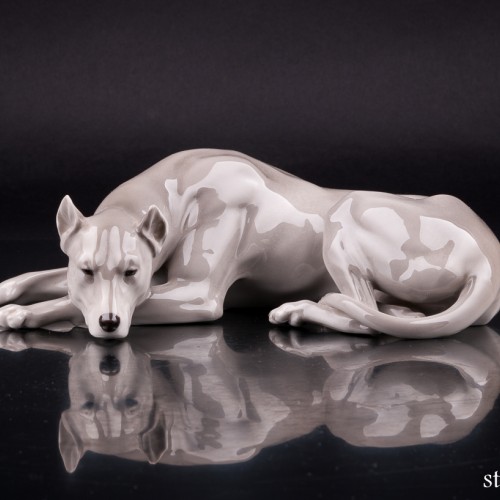 Лежащий дог, Nymphenburg, Германия