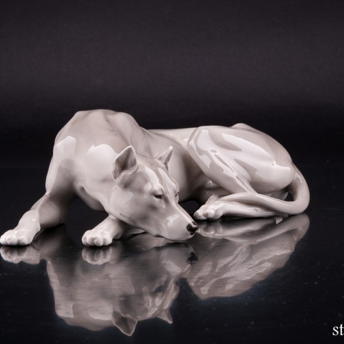 Лежащий дог, Nymphenburg, Германия