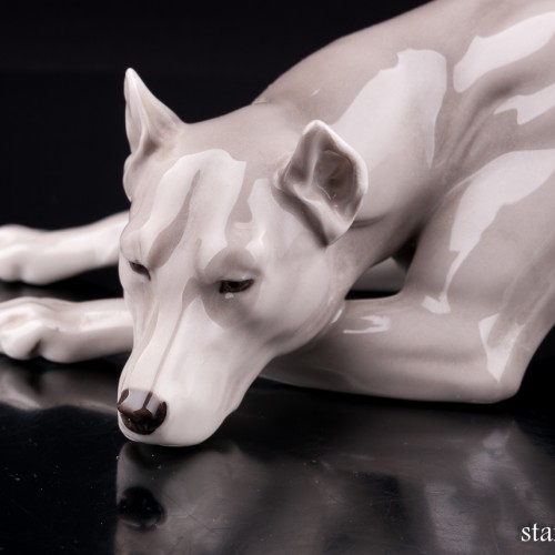 Лежащий дог, Nymphenburg, Германия