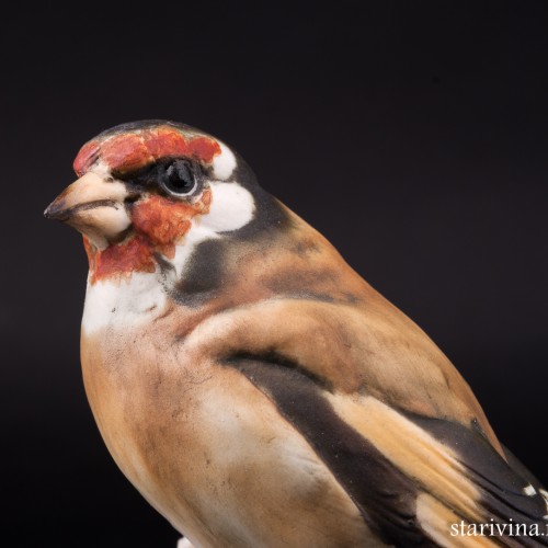 Щегол на цветке, Alka Kaiser, Германия, сер. 20 в