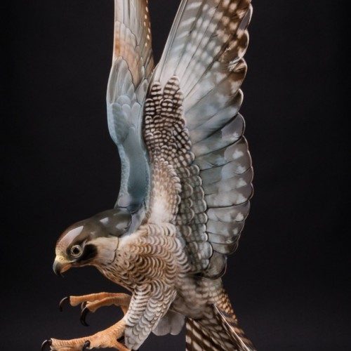 Ястреб, Hutschenreuther, Германия, 1938-55 гг