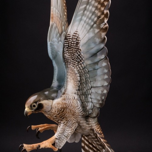 Ястреб, Hutschenreuther, Германия, 1938-55 гг