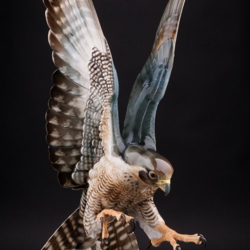 Ястреб, Hutschenreuther, Германия, 1938-55 гг