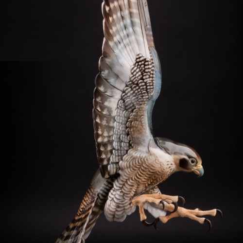 Ястреб, Hutschenreuther, Германия, 1938-55 гг