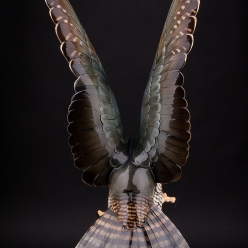 Ястреб, Hutschenreuther, Германия, 1938-55 гг